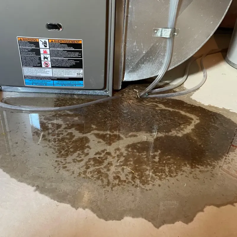 Appliance Leak Cleanup in Barker Heights, NC