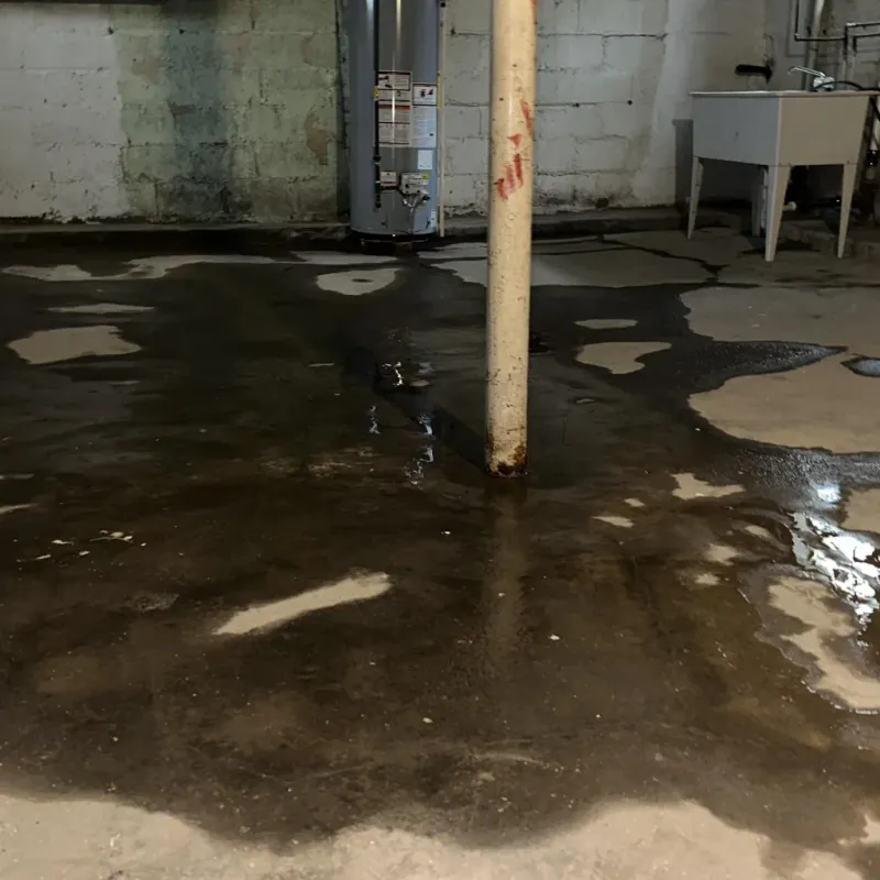 Emergency Water Extraction And Removal in Barker Heights, NC